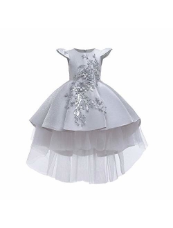 Little Girls Handmade Flower High Low Dress Birthday Party Fancy Lace Princess Costume Dance Ball Gown