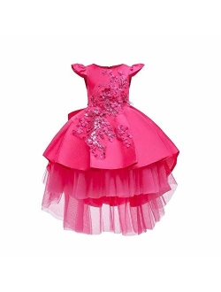 Little Girls Handmade Flower High Low Dress Birthday Party Fancy Lace Princess Costume Dance Ball Gown