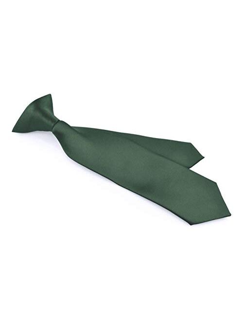 Moda Di Raza - Boy's NeckTie Solid Color Clipon Polyester Tie - Many Colors