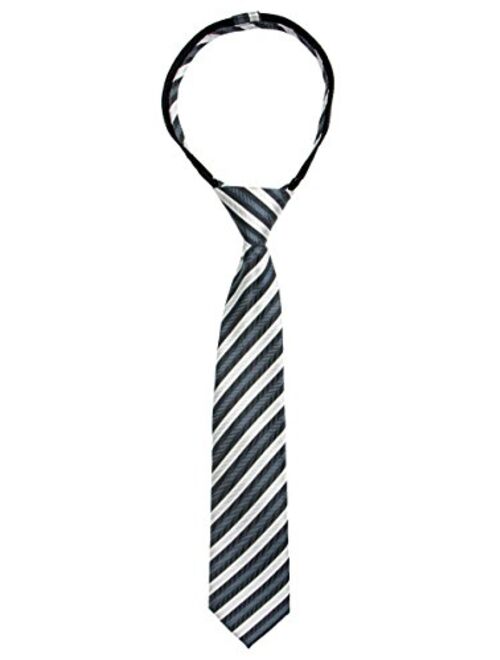 Spring Notion Boys' Pre-tied Woven Zipper Tie