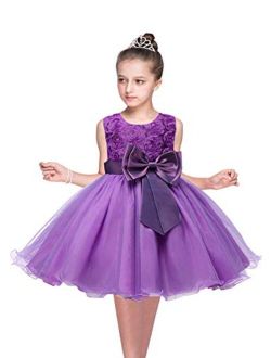 YMING Girl's Lace Tutu Dress Wedding Party Fancy Flower Girl Dress