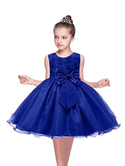 YMING Girl's Lace Tutu Dress Wedding Party Fancy Flower Girl Dress