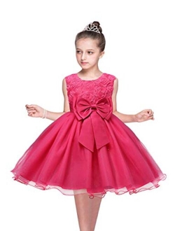 YMING Girl's Lace Tutu Dress Wedding Party Fancy Flower Girl Dress