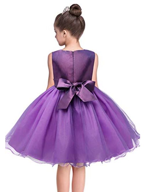 YMING Girl's Lace Tutu Dress Wedding Party Fancy Flower Girl Dress