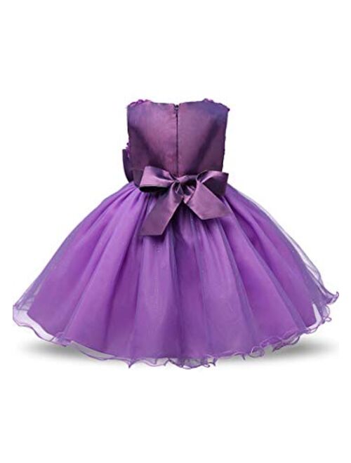 YMING Girl's Lace Tutu Dress Wedding Party Fancy Flower Girl Dress