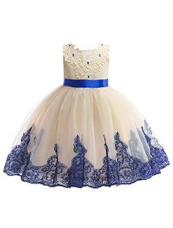 AIMJCHLD 2-10T Kids Flower Girl Dress Teen Girls Pageant Party Communion Dresses