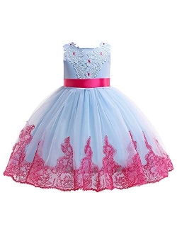 AIMJCHLD 2-10T Kids Flower Girl Dress Teen Girls Pageant Party Communion Dresses