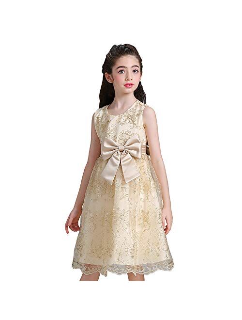 Cichic Girls Party Dress Princess Dress for Girls Formal Dresses Elegant Baby Girls Dress Age 0-10 Years