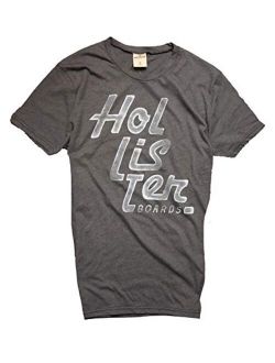 Hollister Men's Tee Graphic T-Shirt V Neck - Crew Neck (Grey 1717, S)