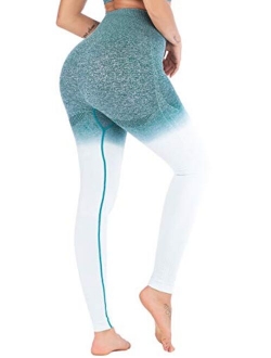 Ombre Seamless Gym Leggings Power Stretch High Waisted Yoga Pants Running Workout Leggings