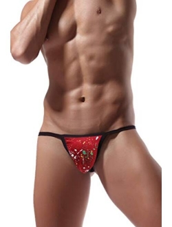 Newsywell Men's Ice Silk Thong Bikini Low Rise Soft Briefs Underwear