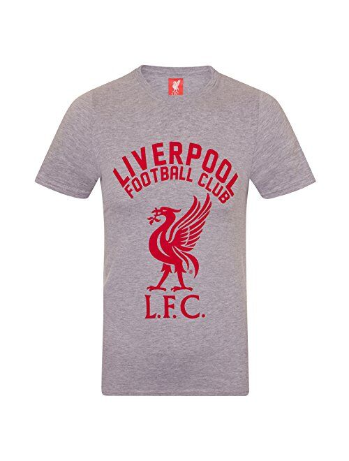 Liverpool FC Official Soccer Gift Mens Graphic T-Shirt