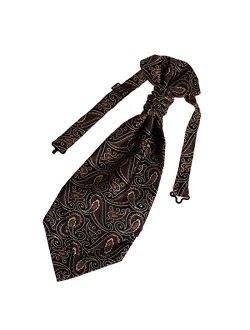 Epoint Men's Fashion Pre-tied Ascot Tie Paisley Pre-tied Cravats for Business Caual, Hanky Set, Come in a Gift Box