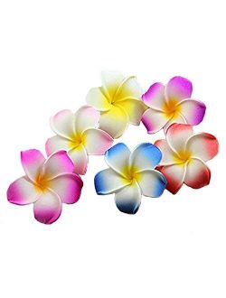 Calcifer 30pcs 1.97''Hawaii Hawaiian Plumeria Flower Clips Bridal Wedding Party Beach Hair Clips