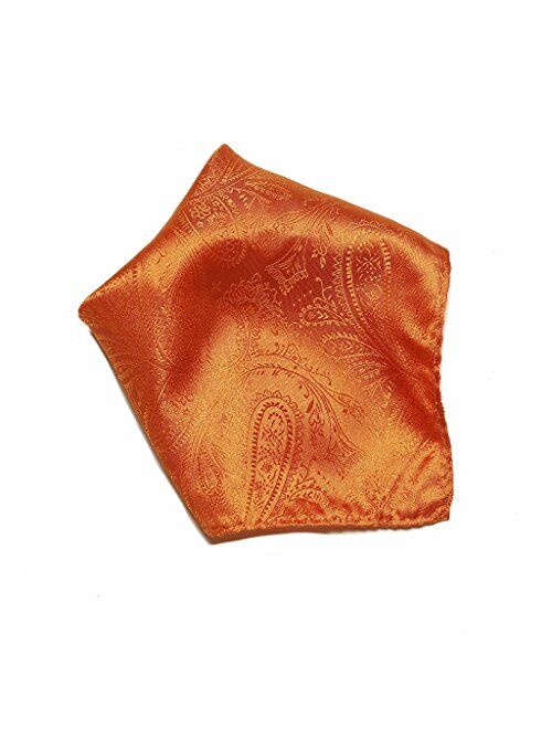 Vesuvio Napoli PAISLEY Design Men's Hankerchief Pocket Square Mens Hanky Hankie