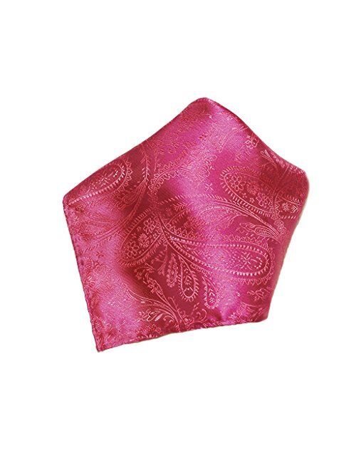 Vesuvio Napoli PAISLEY Design Men's Hankerchief Pocket Square Mens Hanky Hankie