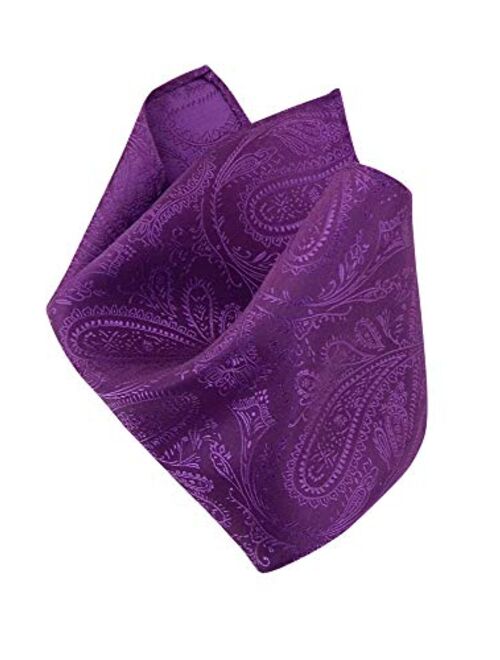 Vesuvio Napoli PAISLEY Design Men's Hankerchief Pocket Square Mens Hanky Hankie