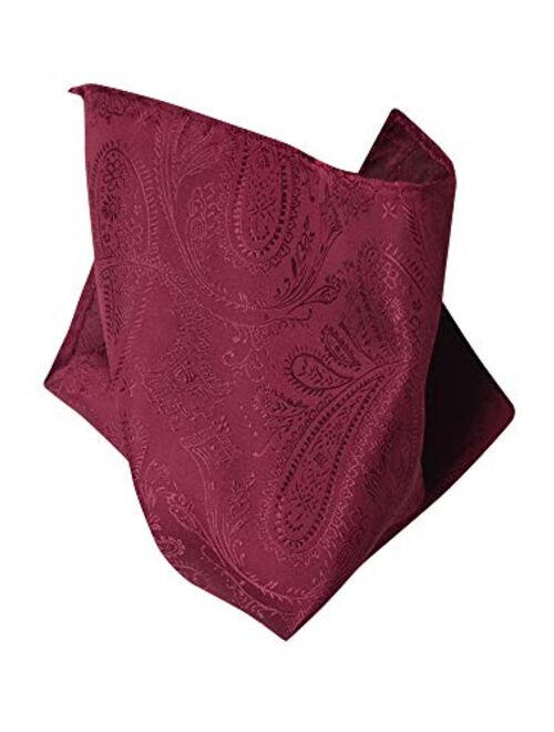 Vesuvio Napoli PAISLEY Design Men's Hankerchief Pocket Square Mens Hanky Hankie