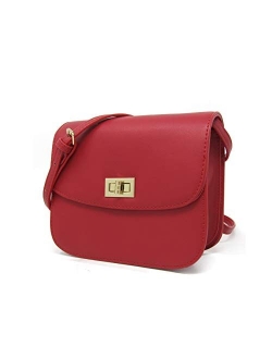 Solene Stylish Crossbody Bag or Shoulder Bag with many Compartments