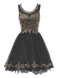 WDING Short Prom Dresses For Juniors Lace Appliques Tulle Homecoming Dress