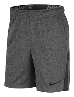 Men's Dry Training Shorts