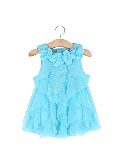 WZSYGDTC 0-24 Months Baby Flower Girl Dress One-Piece Romper Jumpsuit Dresses