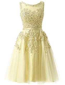 Ever Girl Women's Knee Length Tulle Lace Appliques Hollow Homecoming Dress