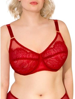 Women's Lace & Mesh Unlined Underwire Bra