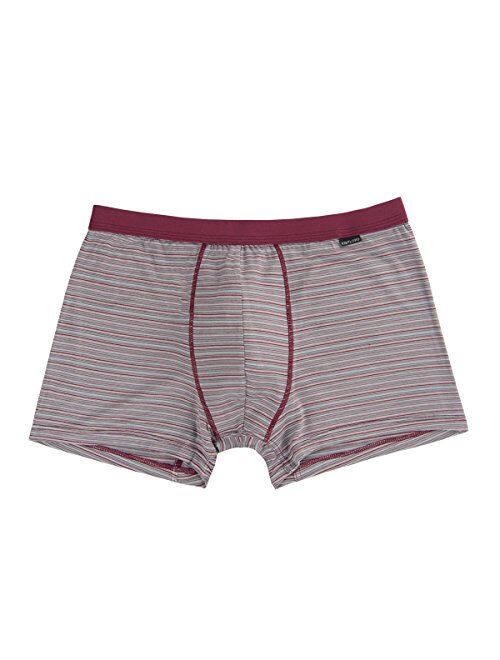 Men's Luxury Bamboo Boxer Underwear Ultra Soft and Breathable Stripes Trunk 5 Pack