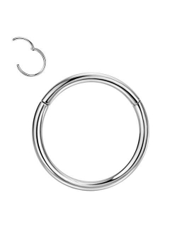 FANSING 1pc Grade 23 Titanium Body Piercing Rings for Nose Ear Lip Septum 20G/18G/16G/14G/12G/10G 5mm/6mm/7mm/8mm/9mm/10mm/11mm/12mm/13mm/14mm/16mm Silver/Gold/Rose Gold 