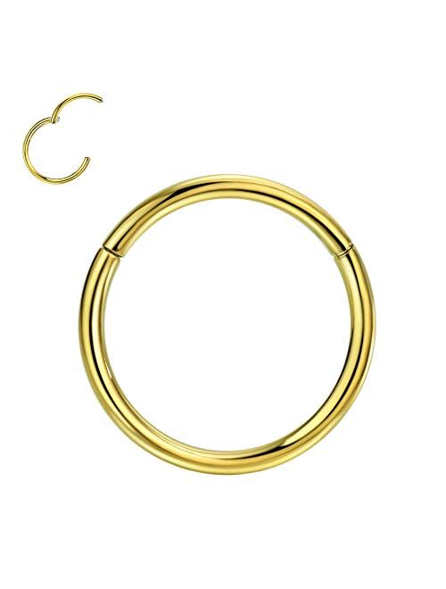 FANSING 1pc Grade 23 Titanium Body Piercing Rings for Nose Ear Lip Septum 20G/18G/16G/14G/12G/10G 5mm/6mm/7mm/8mm/9mm/10mm/11mm/12mm/13mm/14mm/16mm Silver/Gold/Rose Gold 