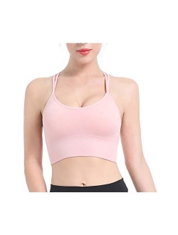 FIZILI Sports Bras for Women Activewear - Ladies Bras for Gym Yoga Running Fitness Workout