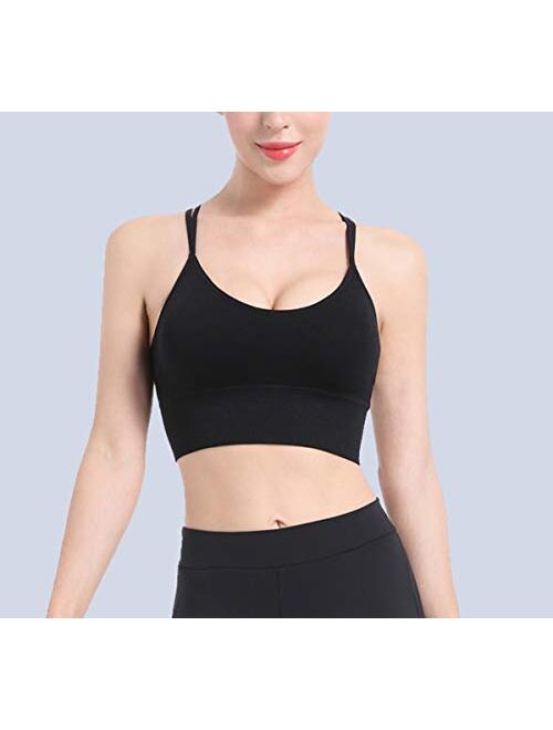 FIZILI Sports Bras for Women Activewear - Ladies Bras for Gym Yoga Running Fitness Workout