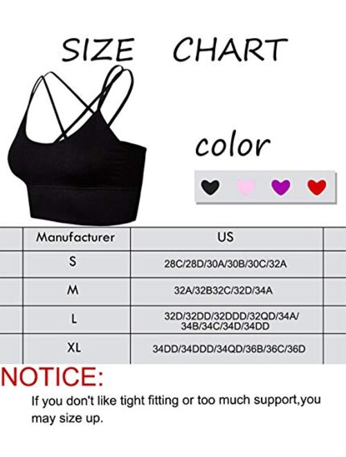 FIZILI Sports Bras for Women Activewear - Ladies Bras for Gym Yoga Running Fitness Workout