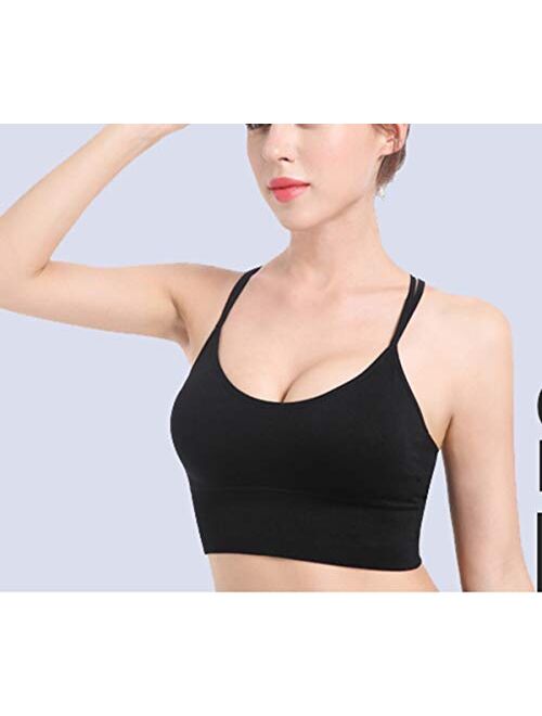 FIZILI Sports Bras for Women Activewear - Ladies Bras for Gym Yoga Running Fitness Workout