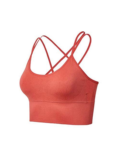 FIZILI Sports Bras for Women Activewear - Ladies Bras for Gym Yoga Running Fitness Workout