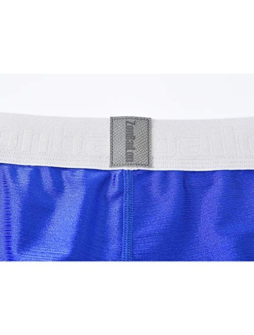 ZONBAILON Men's Sexy Underwear Bulge Pouch Ice Silk Underpants Low