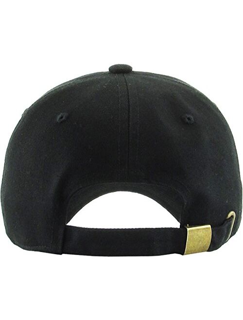 Vintage NASA Insignia Dad Hat Collection Baseball Cap Polo Style Adjustable Worm
