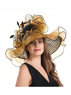 SAFERIN Women's Organza Church Kentucky Derby Hat Feather Veil Fascinator Bridal Tea Party Wedding Hat