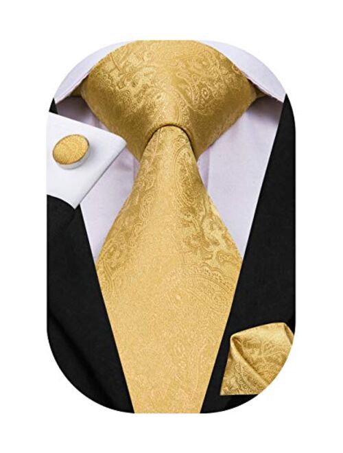 Hi-Tie Silk Paisely Necktie and Pocket Square Cufflinks Set