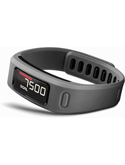 Vivofit Fitness Band