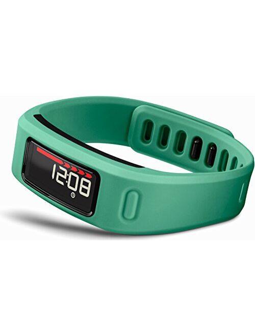 Garmin Vivofit Fitness Band