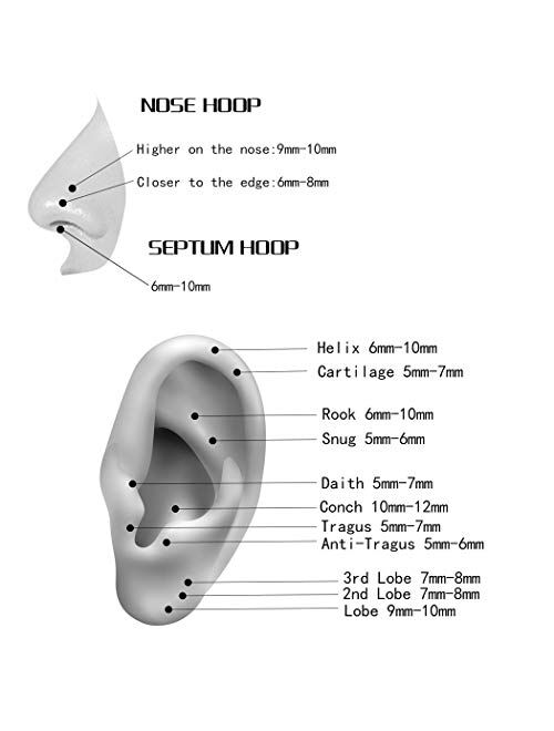 ORANGELOVE Hypoallergenic Nose Rings 20G 18G 16G 14G 12G 10G 8G 316l Surgical Steel Septum Jewelry Hinged Segment Ring Body Piercing Nose Hoop Lip Rings Nose Helix Cartil