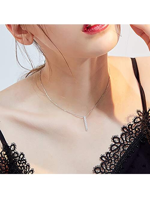 Sllaiss 2 pcs Cremation Jewelry Crystals from Swarovski Stainless Steel Black Silver Tone Bar Urn Pendant Memorial Ashes Keepsake Exquisite Necklace