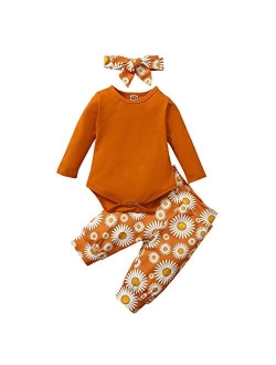 Toddler Baby Girls Clothes Floral Tops Shirt Flower Hoodie Pants Outfit Set Fall Clothes