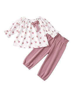 Toddler Baby Girls Clothes Floral Tops Shirt Flower Hoodie Pants Outfit Set Fall Clothes