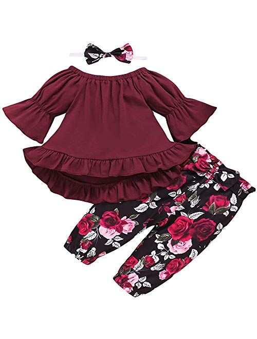 Toddler Baby Girls Clothes Floral Tops Shirt Flower Hoodie Pants Outfit Set Fall Clothes