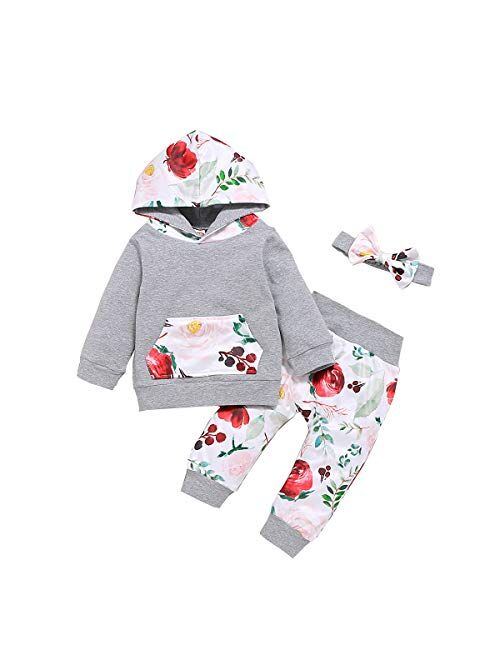 Toddler Baby Girls Clothes Floral Tops Shirt Flower Hoodie Pants Outfit Set Fall Clothes