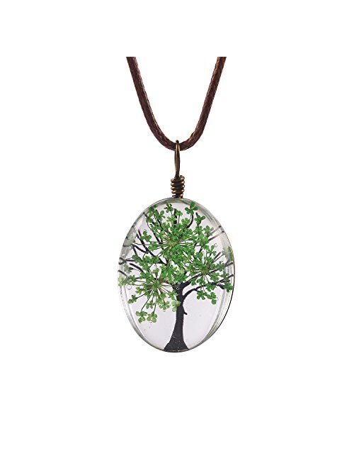 FM FM42 Life of Tree Multi Colors Queen Anne's Lace Dried Flowers Oval Pendant Necklace (4 Colors)