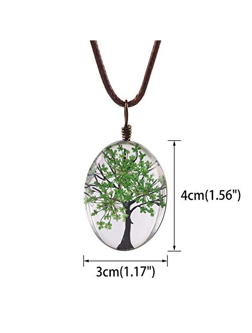 FM FM42 Life of Tree Multi Colors Queen Anne's Lace Dried Flowers Oval Pendant Necklace (4 Colors)